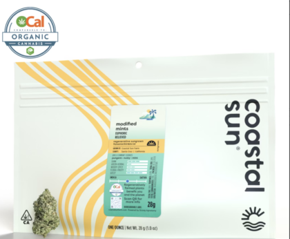 Modified Mints - 28g (H) - Coastal Sun