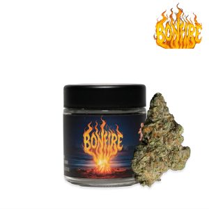 Bonfire