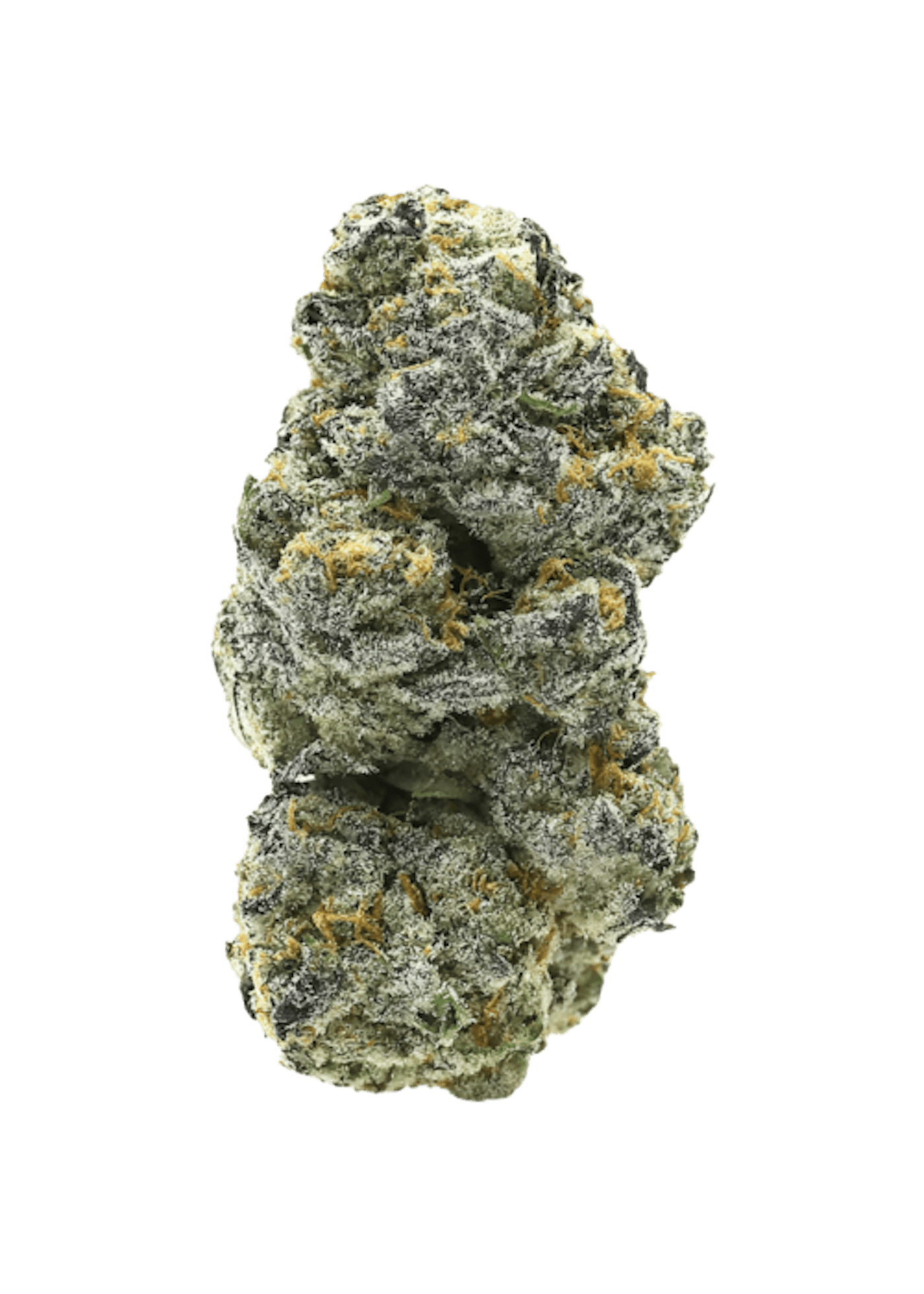 Brain Dead (Private Reserve)