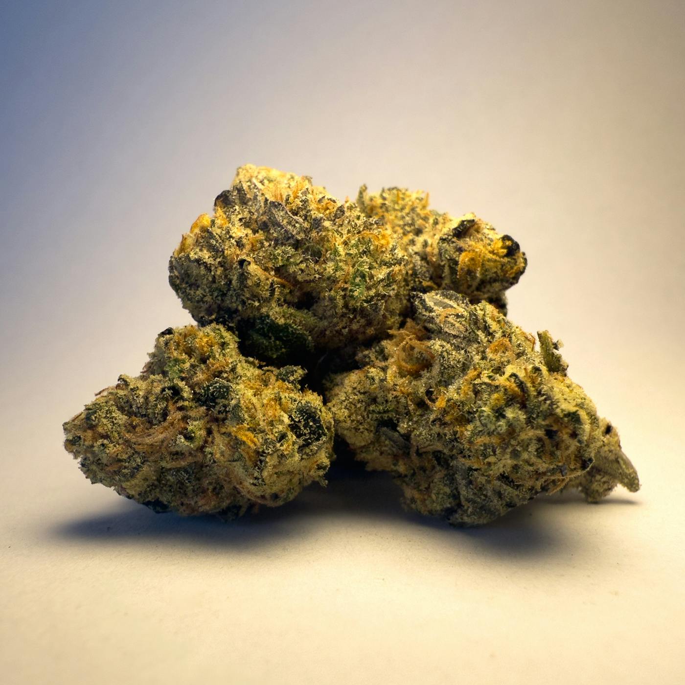 G #41