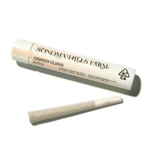Grandi Guava - Preroll - SHF