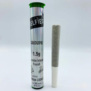 Infused - Gelato Crunch (Groupie)