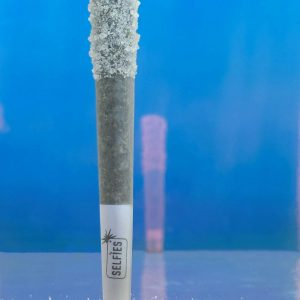 Infused - Maui Wowie (Encrusted Groupie)