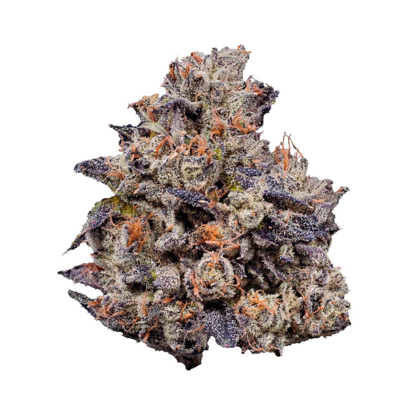 Lemon Cherry Gelato