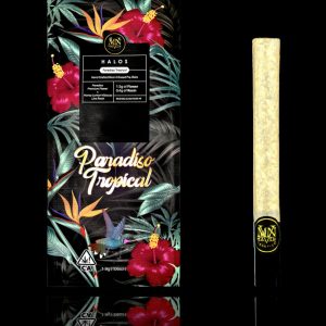 Paradiso Tropical (Rosin Infused) Halo