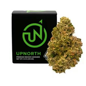 Pink Grapefruit