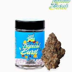 Tropical Burst